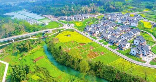 乡村全面振兴扎实推进 农业农村现代化迈出坚实步伐