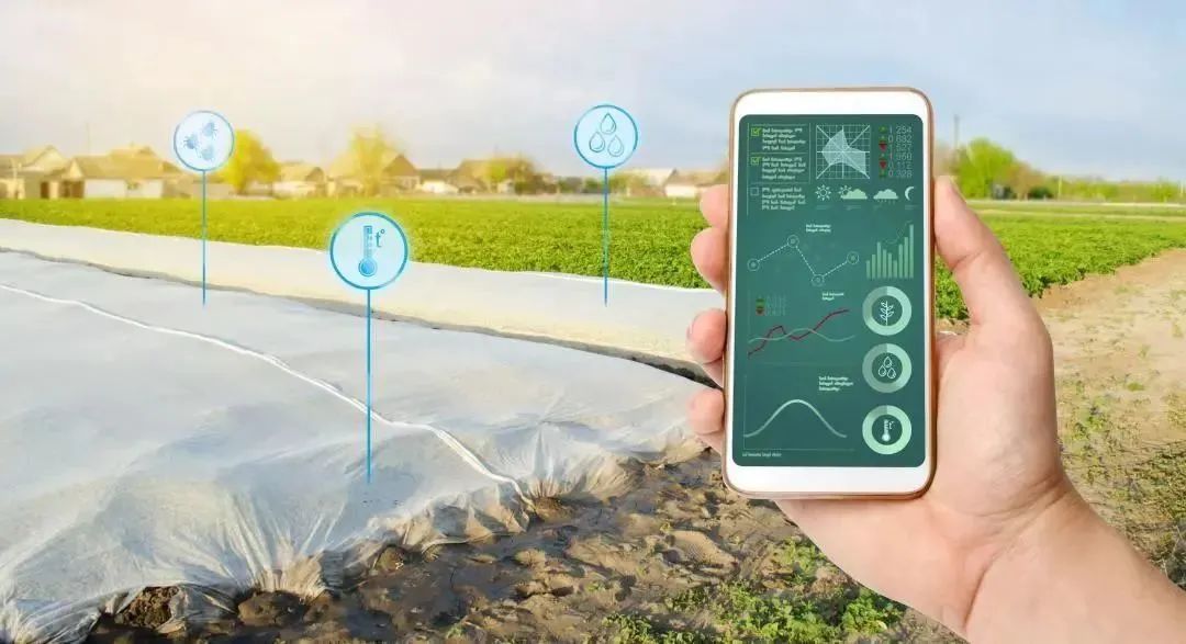 我国设施农业发展现状、存在不足及对策