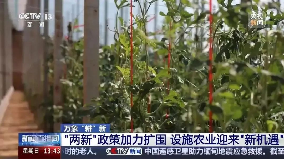 国家“放大招”，设施农业升级改造正当时！